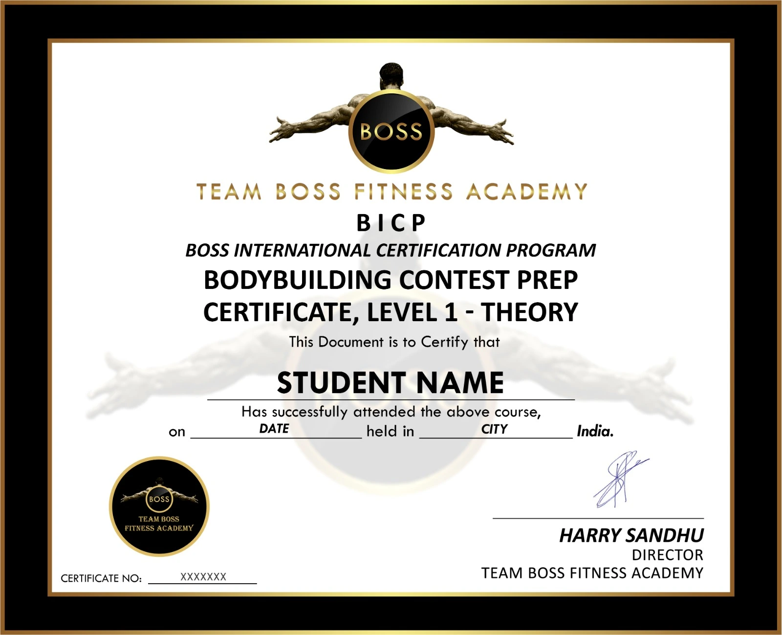 Level 1